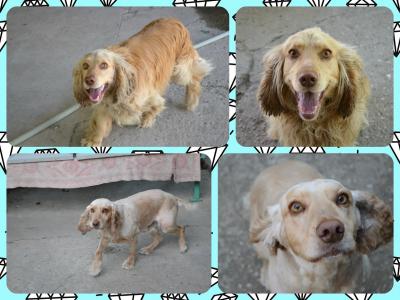 Прикрепленное изображение: W16bSrbYmxA.jpg